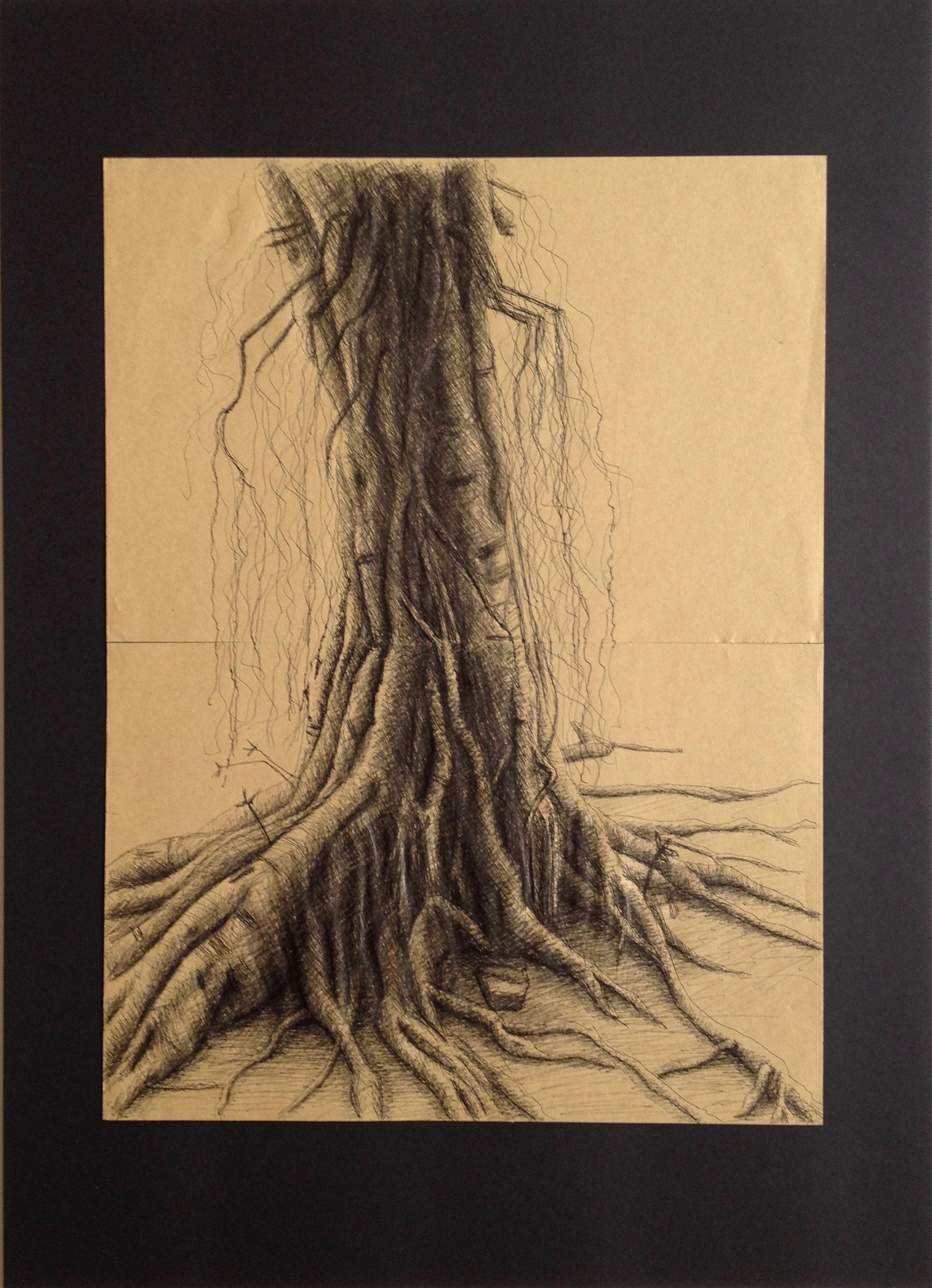 Banyan Tree 2, Ink on Brown Paper Mounted on Black Card, 54 x 40.4 cm, 2014 – 2019 by David Lloyd
